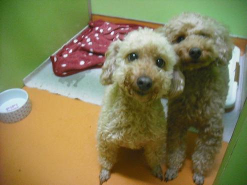 ファイル 1990-2.jpg