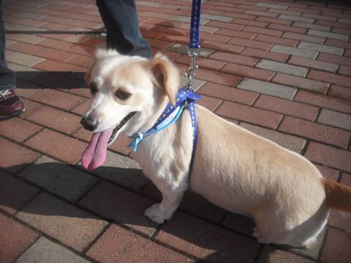 ファイル 1992-2.jpg