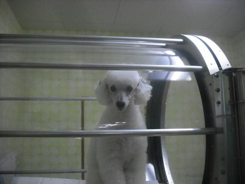 ファイル 1994-2.jpg