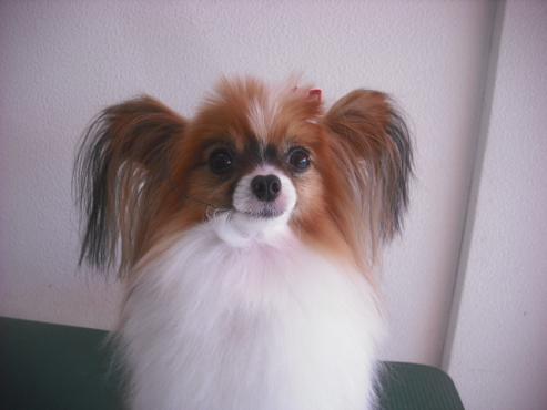 ファイル 1995-1.jpg