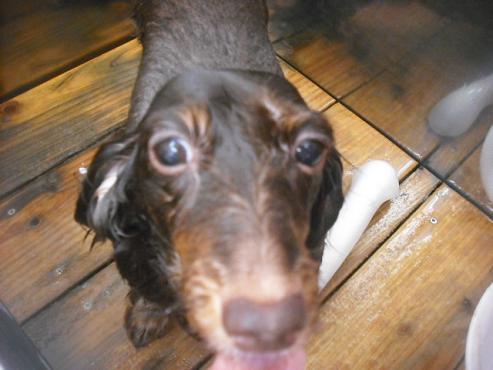 ファイル 1996-2.jpg