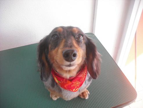 ファイル 1997-1.jpg