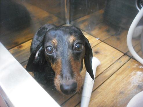 ファイル 1997-2.jpg