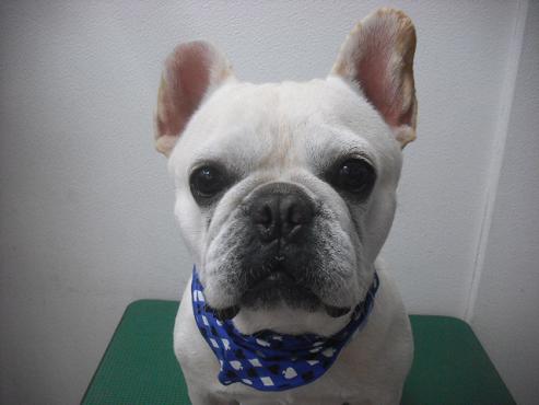 ファイル 1999-1.jpg