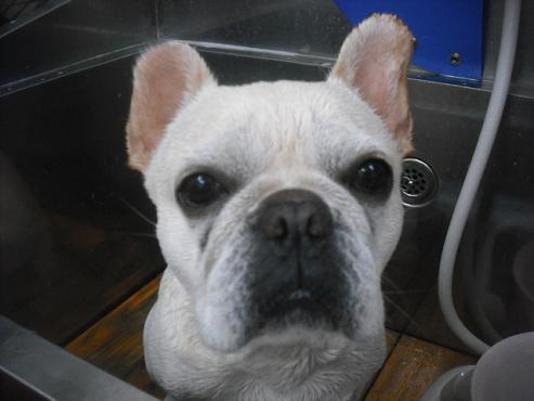 ファイル 1999-2.jpg