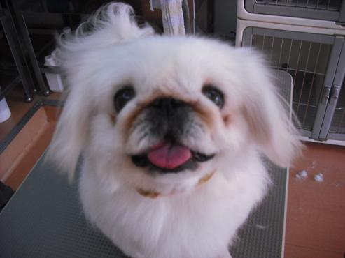 ファイル 2-1.jpg