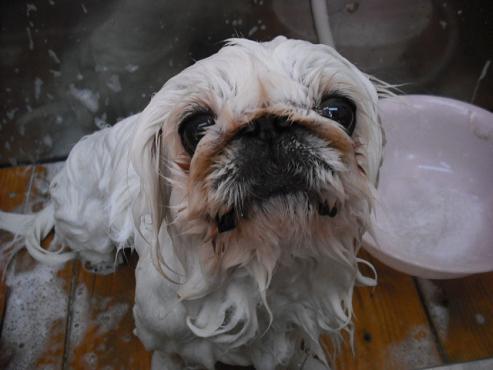 ファイル 2-2.jpg