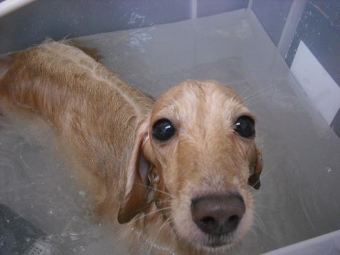 ファイル 20-2.jpg