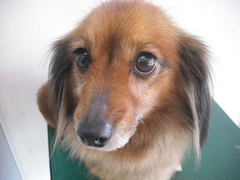 ファイル 200-1.jpg