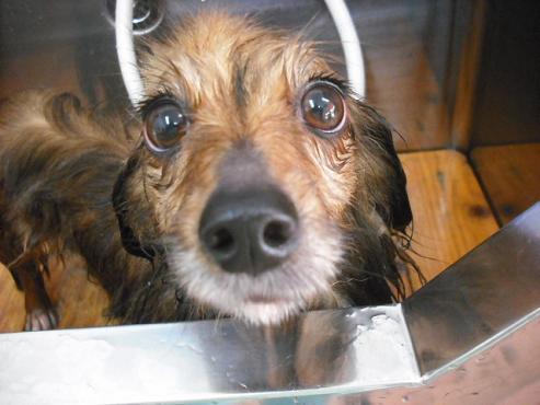 ファイル 200-2.jpg