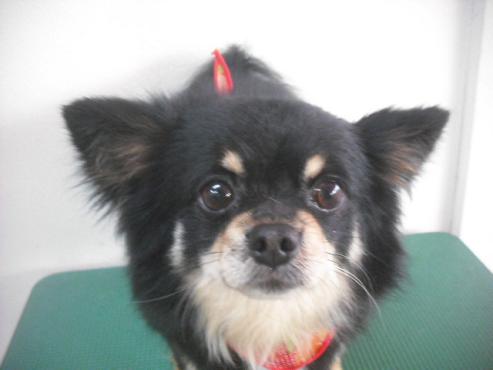 ファイル 2002-1.jpg