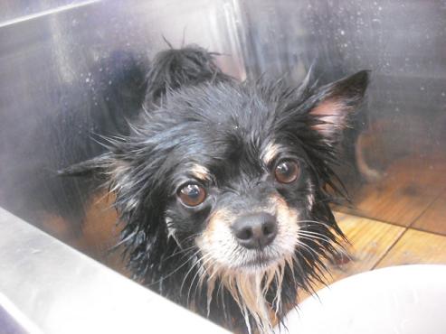 ファイル 2002-2.jpg