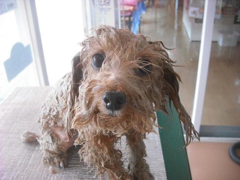 ファイル 2004-2.jpg