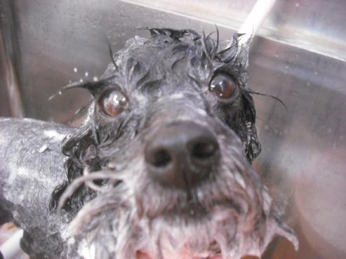 ファイル 2005-2.jpg