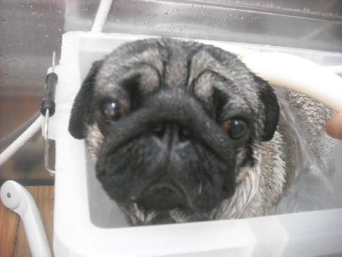 ファイル 2006-2.jpg