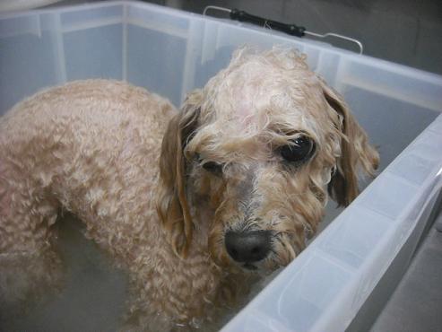 ファイル 2007-2.jpg