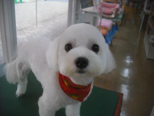 ファイル 2009-1.jpg