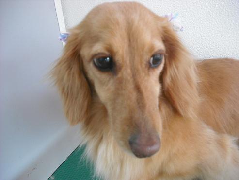 ファイル 201-2.jpg