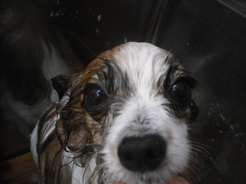 ファイル 2012-2.jpg