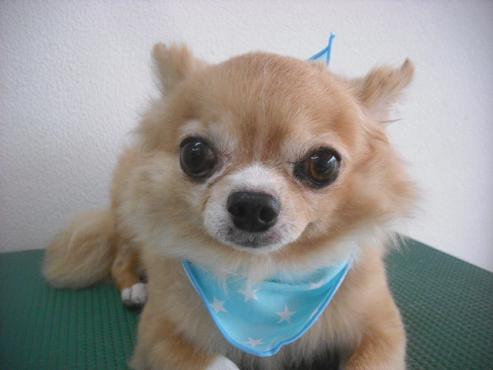 ファイル 2013-1.jpg