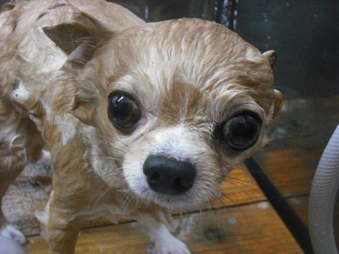 ファイル 2013-2.jpg