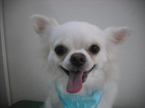 ファイル 2014-1.jpg