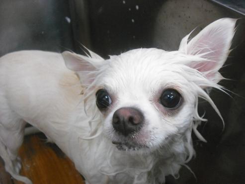 ファイル 2014-2.jpg