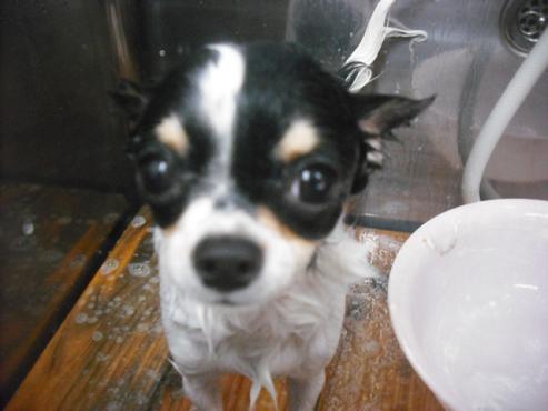 ファイル 2015-2.jpg