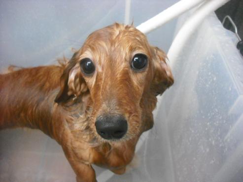 ファイル 2016-2.jpg