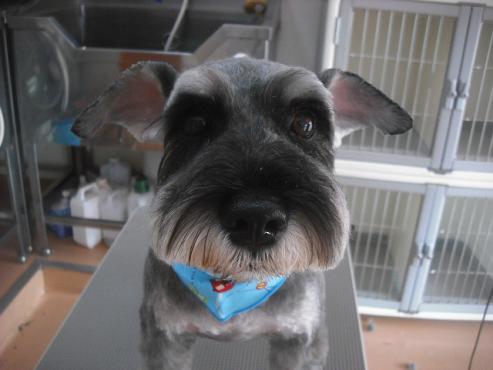 ファイル 2017-1.jpg