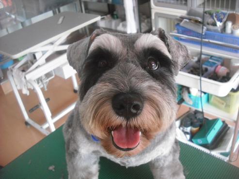 ファイル 2018-1.jpg