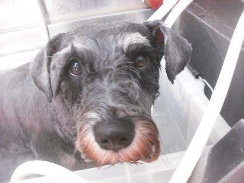 ファイル 2018-2.jpg