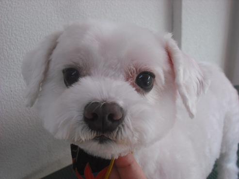 ファイル 2019-1.jpg