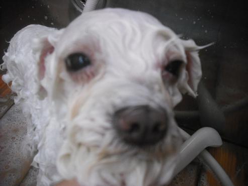 ファイル 2019-2.jpg