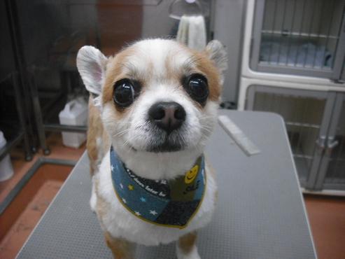 ファイル 202-1.jpg