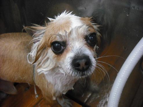 ファイル 202-2.jpg