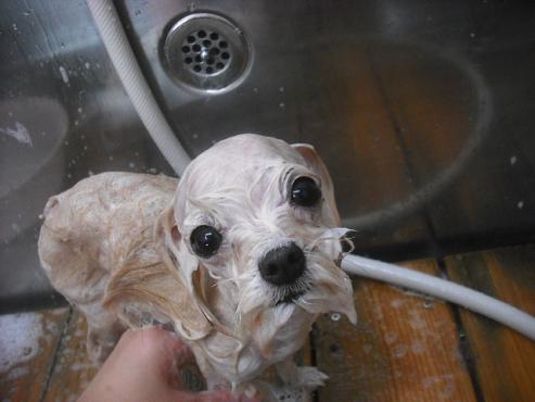 ファイル 2020-2.jpg