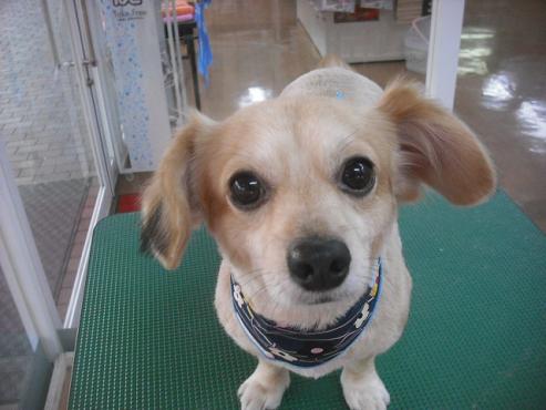 ファイル 2021-1.jpg