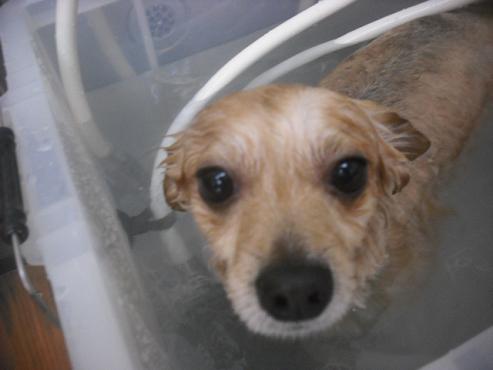 ファイル 2021-2.jpg