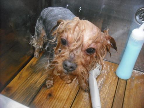 ファイル 2022-2.jpg