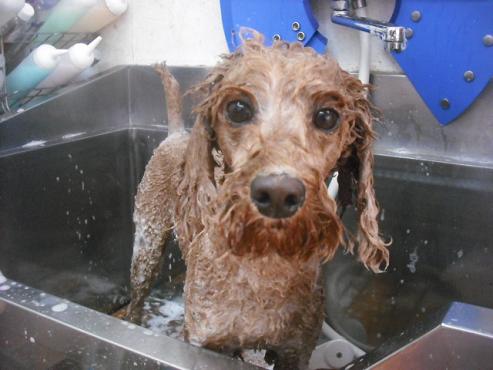 ファイル 2023-2.jpg