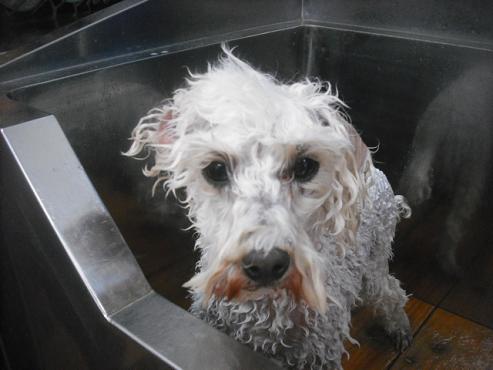 ファイル 2024-2.jpg