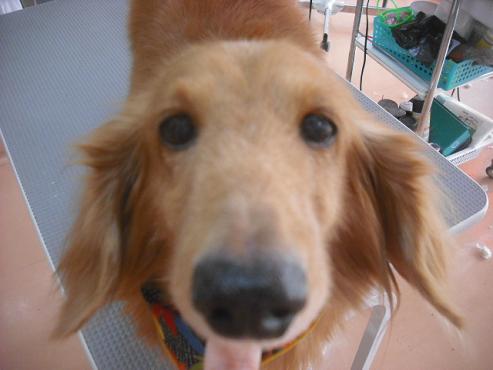 ファイル 2025-1.jpg