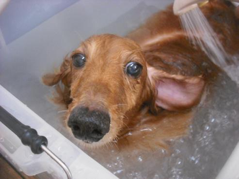 ファイル 2025-2.jpg