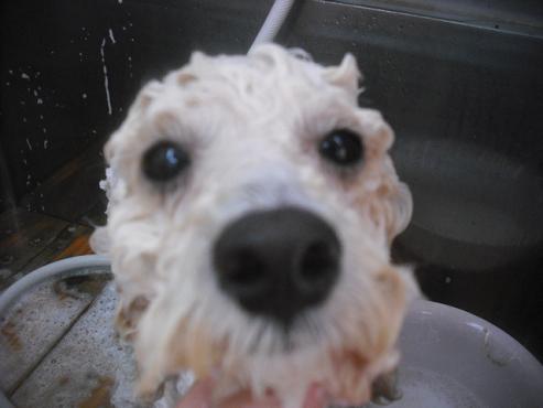 ファイル 2026-2.jpg