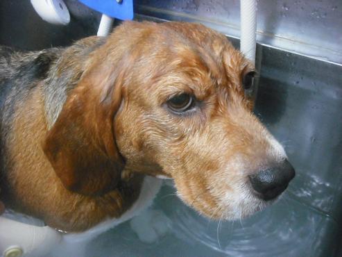 ファイル 2028-2.jpg