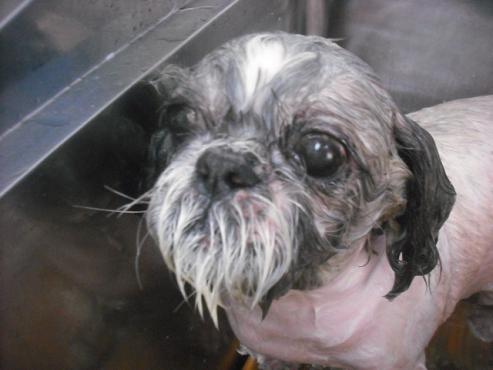 ファイル 2029-2.jpg