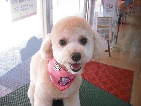 ファイル 203-1.jpg