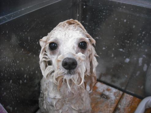 ファイル 203-2.jpg