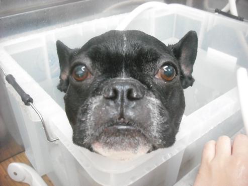 ファイル 2031-2.jpg